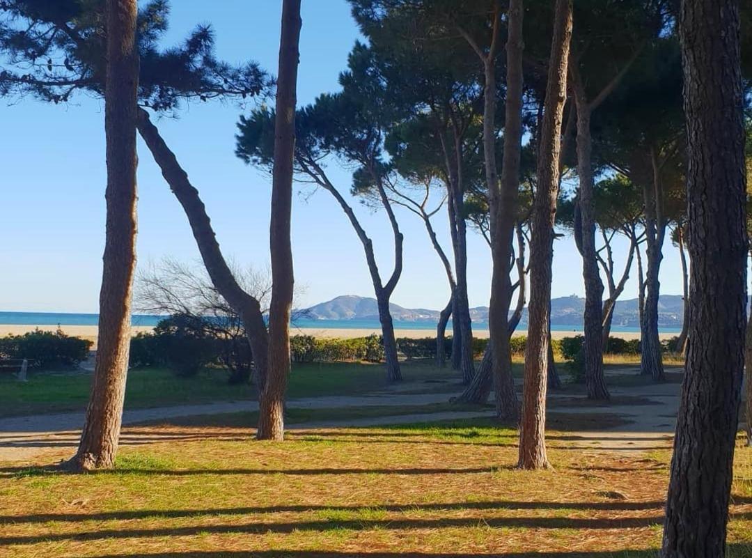 Les Lavandines -Coquette Maison De Vacances - 400 M De La Plage - Grande Terrasse - 2 Chambres - 2 Salles De Bain - Tout Confort أرجيليه- سور- مير المظهر الخارجي الصورة